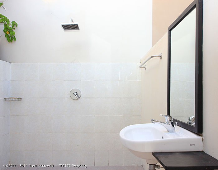 Bali Seminyak villa for sale 2 bedrooms modern designed