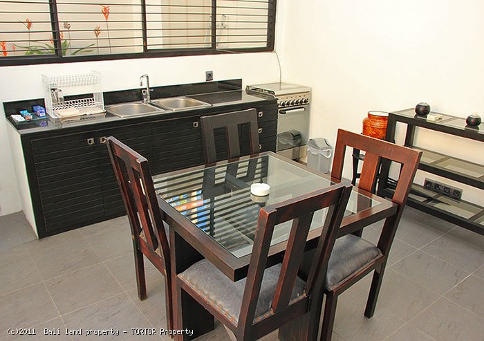 Bali Seminyak villa for sale 2 bedrooms modern designed