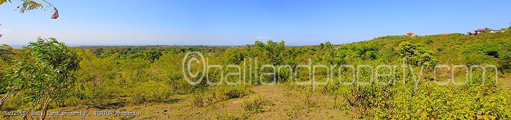 Affordable 1 hectare Bali land plot sale with panoramic views