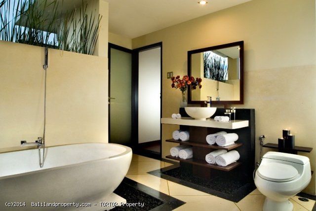 Freehold boutique villa resort for sale 9 villas