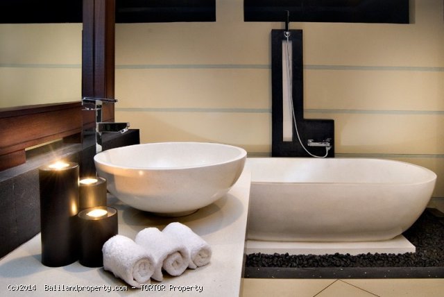 Freehold boutique villa resort for sale 9 villas