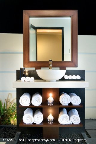 Freehold boutique villa resort for sale 9 villas