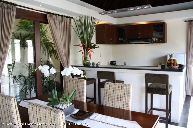 Freehold boutique villa resort for sale 9 villas