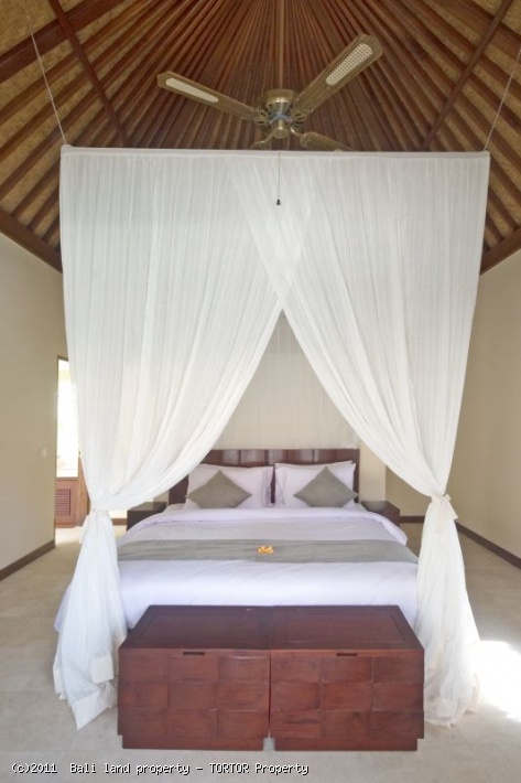 Luxury 4 bedroom villa for sale Seminyak pool bar Jacuzzi