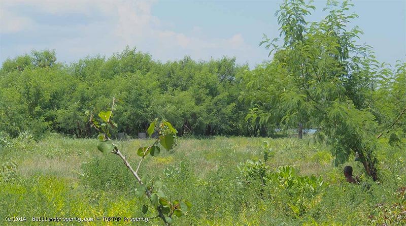 Freehold 700m2 plot near Mertasari beach