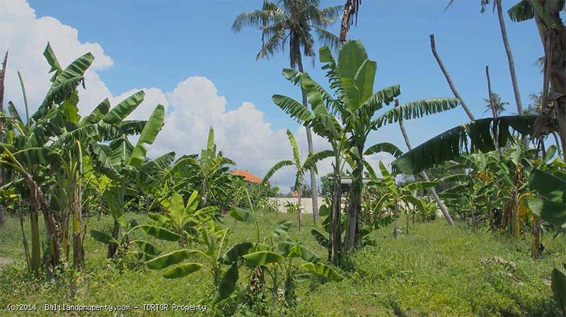 Freehold 700m2 plot near Mertasari beach