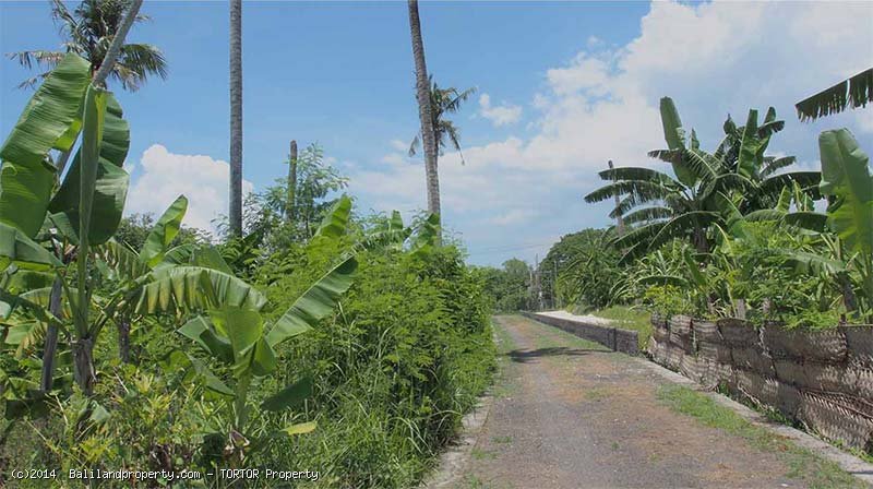 Freehold 700m2 plot near Mertasari beach