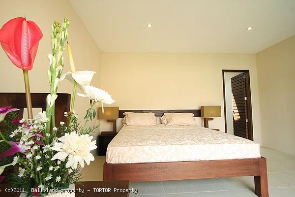 Bali Seminyak villa property for sale 3 bedrooms modern designed