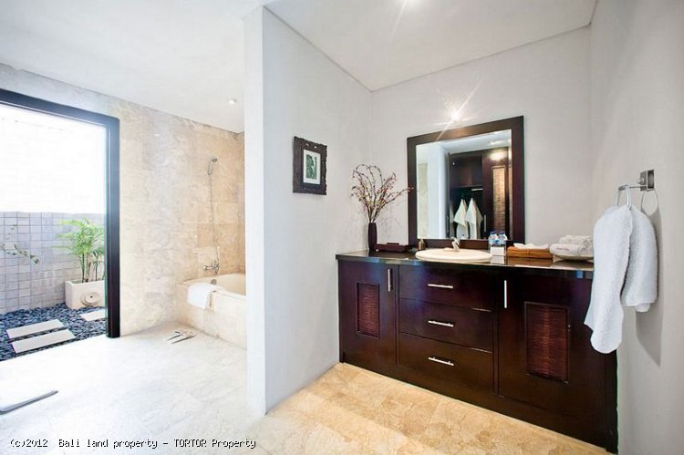 Luxury Bali waterfront villa 3 bedrooms jetty freehold real estate