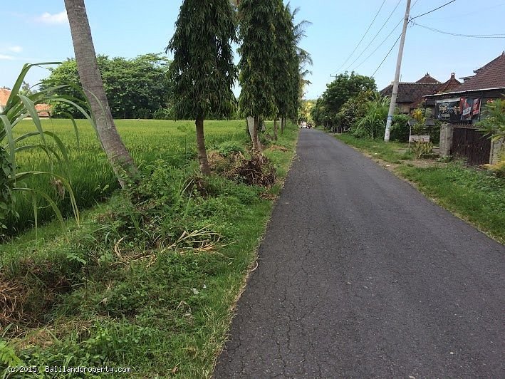  Freehold 1185m2 riverfront in Belalang