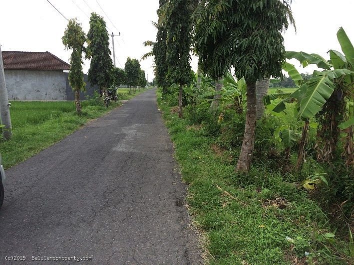  Freehold 1185m2 riverfront in Belalang