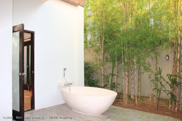 Villa in Bali for lease or sale with 3 bedrooms private pool