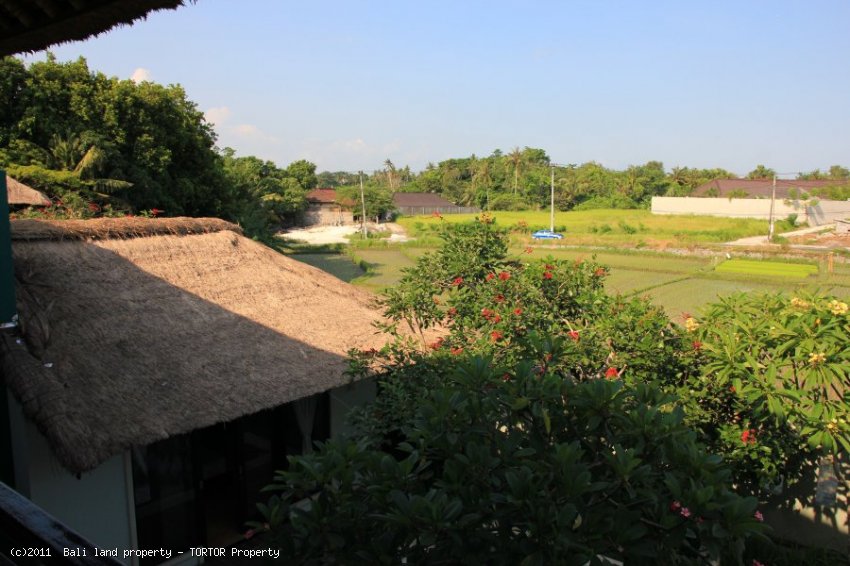 Bali property for sale 3 bedroom large pool nice views large bathrooms