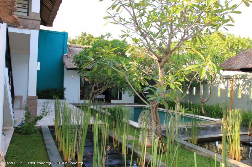 Bali property for sale 3 bedroom large pool nice views large bathrooms