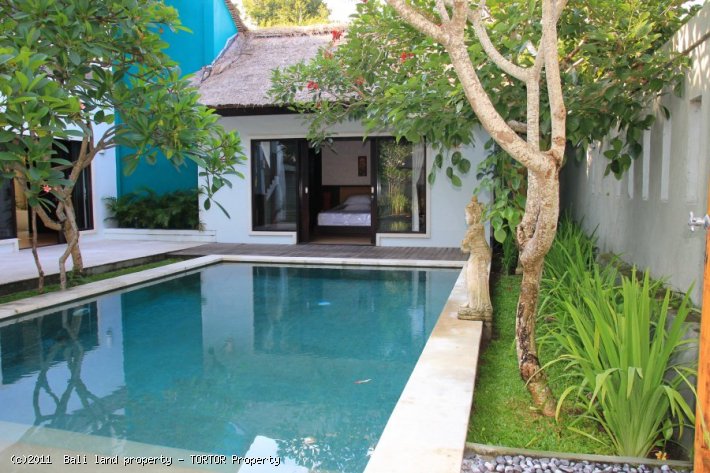 Villa in Bali for lease or sale with 3 bedrooms private pool - $27,000.00/Year