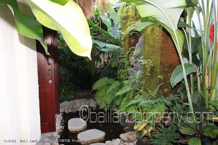 Bali villa Batur for yearly lease in Canggu 3 bedrooms pool