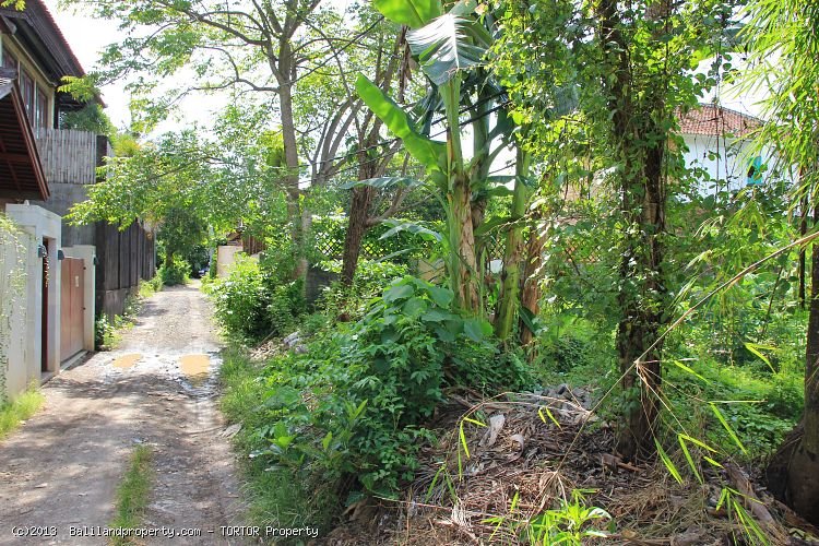 Smaller plot of freehold land near Seminyak