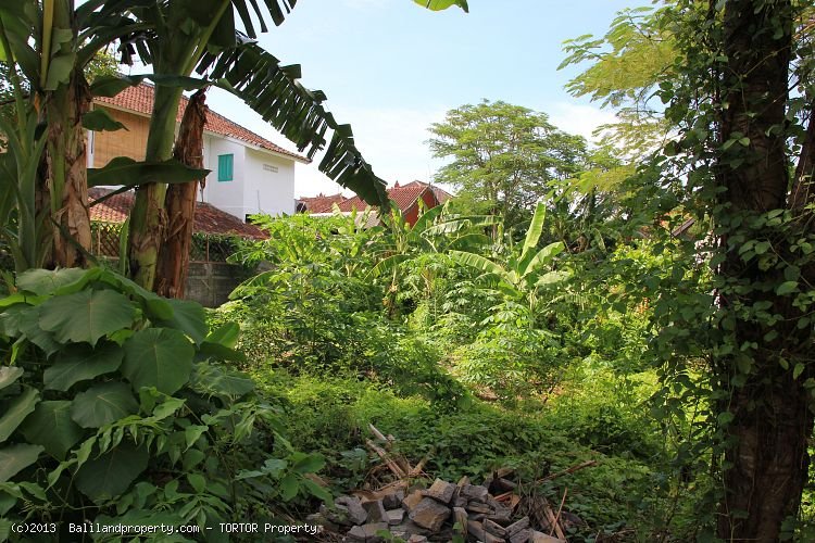 Smaller plot of freehold land near Seminyak
