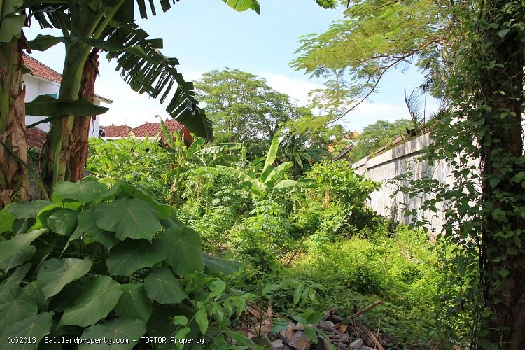 Smaller plot of freehold land near Seminyak