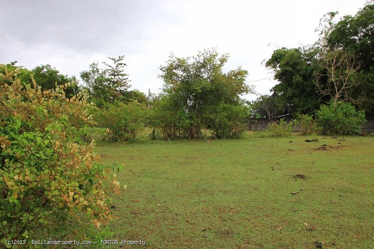 Large freehold plot with views Goa Gong 6800m2