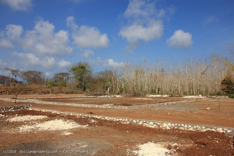 Cheap good shaped land measuring 1000m2