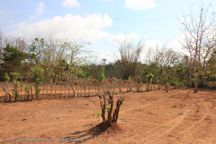 Cheap good shaped land measuring 1000m2