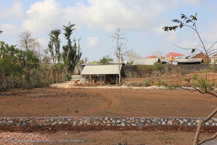 Cheap good shaped land measuring 1000m2