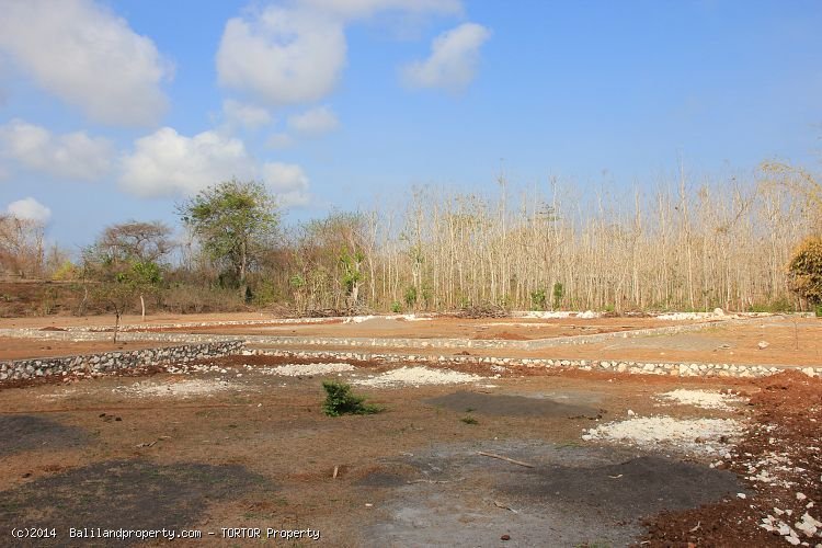 Cheap good shaped land measuring 1000m2