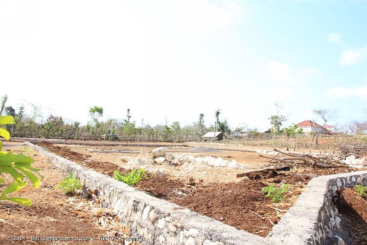 Cheap good shaped land measuring 1000m2