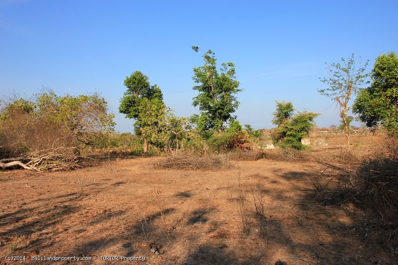 Square shaped 2,500 m2 land quiet spot