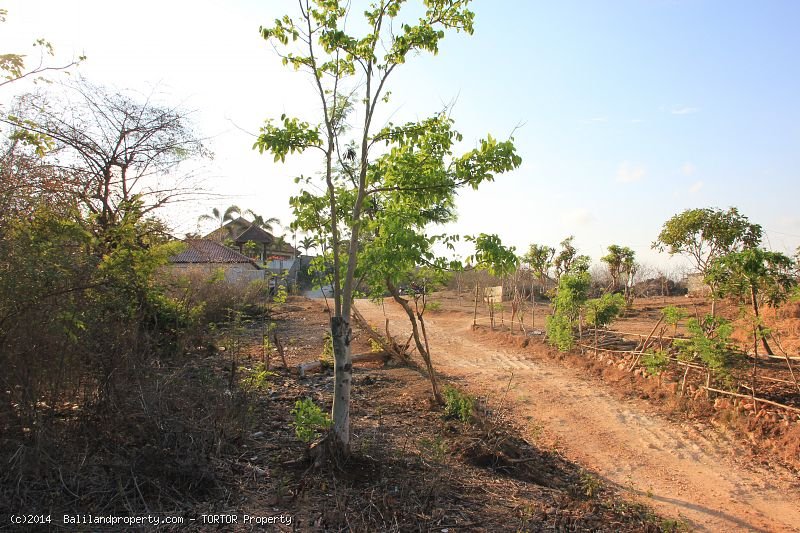 Square shaped 2,500 m2 land quiet spot