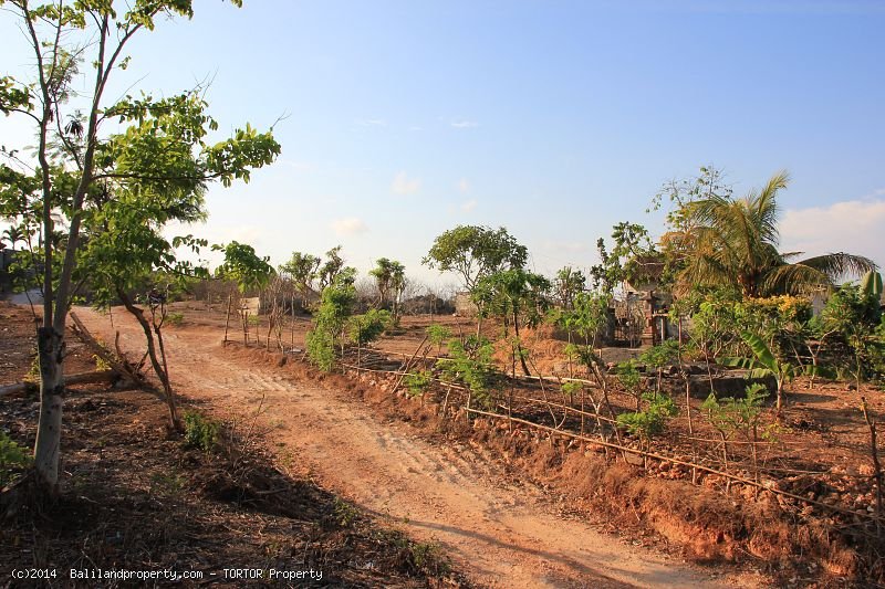 Square shaped 2,500 m2 land quiet spot