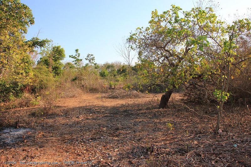 Square shaped 2,500 m2 land quiet spot