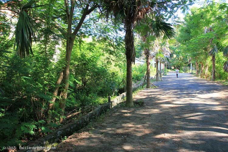 Affordable 1000m2 lot perfect for subdividing