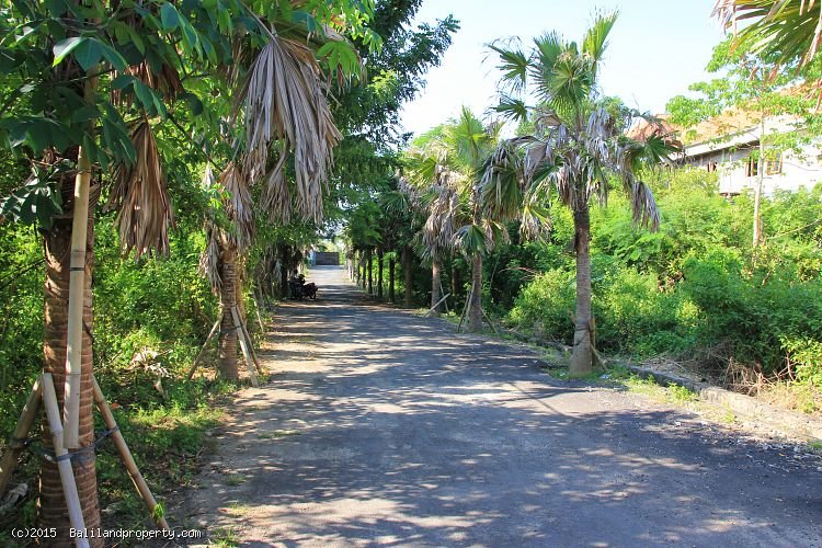 Affordable 1000m2 lot perfect for subdividing