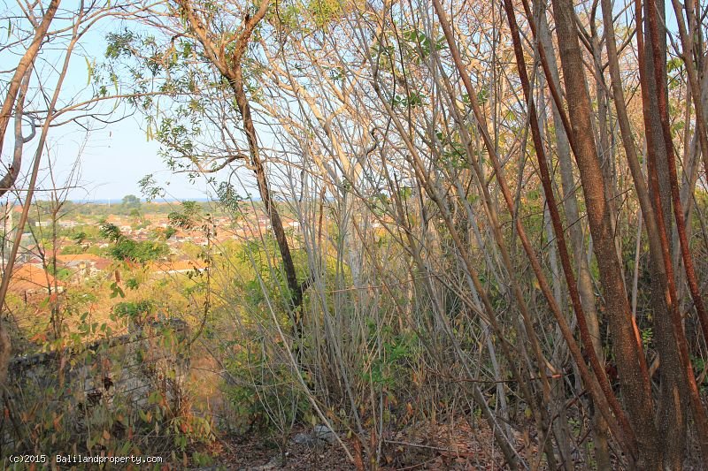 Development land for lease with ocean views