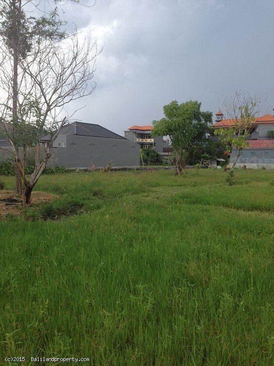 Land for lease 20 years rice field view