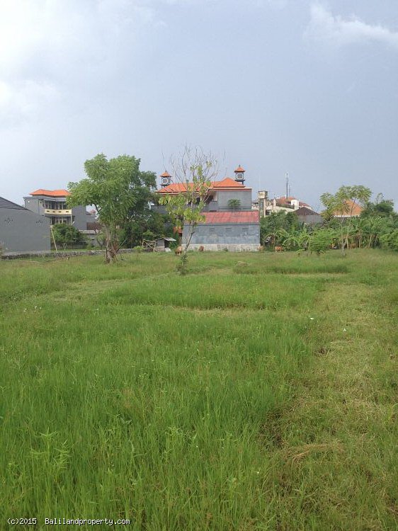 Land for lease 20 years rice field view