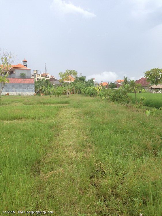 Land for lease 20 years rice field view