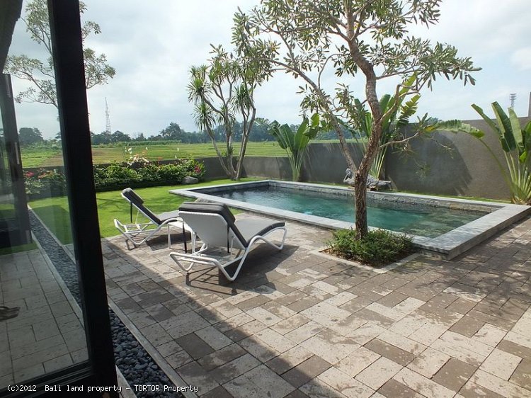 Freehold 2 bedroom villa on 400m2 green belt views