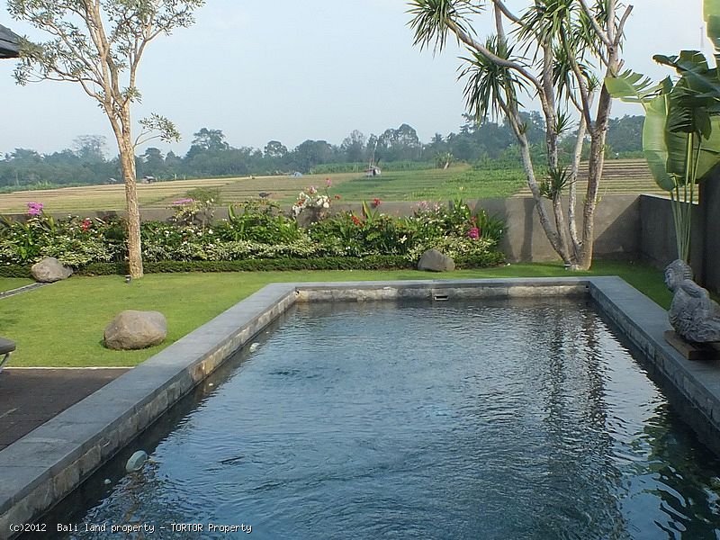 Freehold 2 bedroom villa on 400m2 green belt views