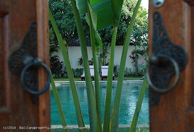 Freehold 3 villa 8 bedroom compound in Umalas